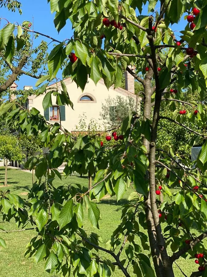 Il Canto Del Gallo B&B Zenson di Piave Alojamento de Acomodação e Pequeno-almoço