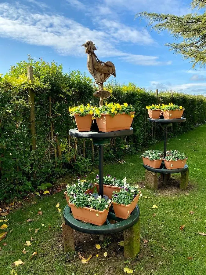 Il Canto Del Gallo B&B Zenson di Piave